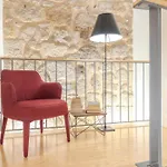 Wonderful Porto Design Apartments